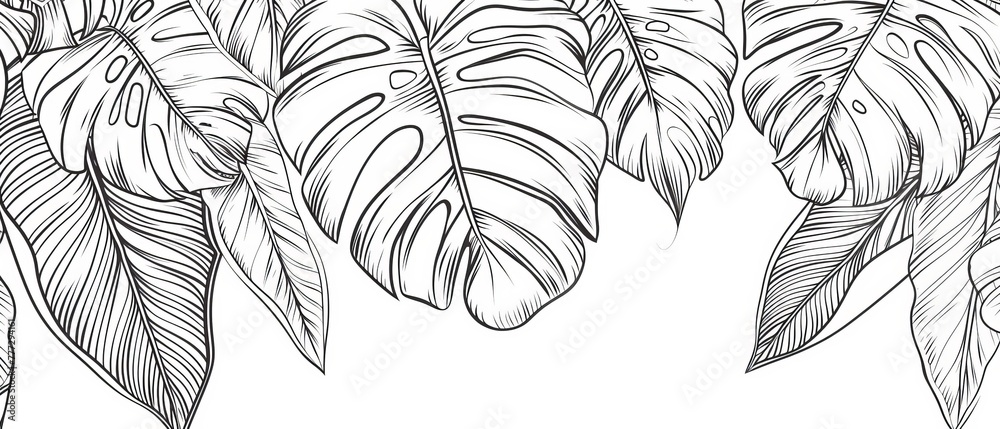 Line art modern background with tropical leaves, leaf branches, monstera plants and more. Ideal for banners, prints, decorations, and fabrics.