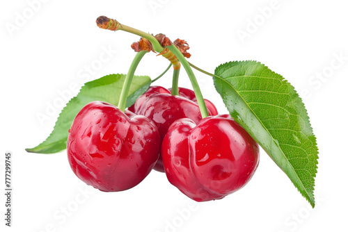 Red Surinam Cherry isolated on transparent background