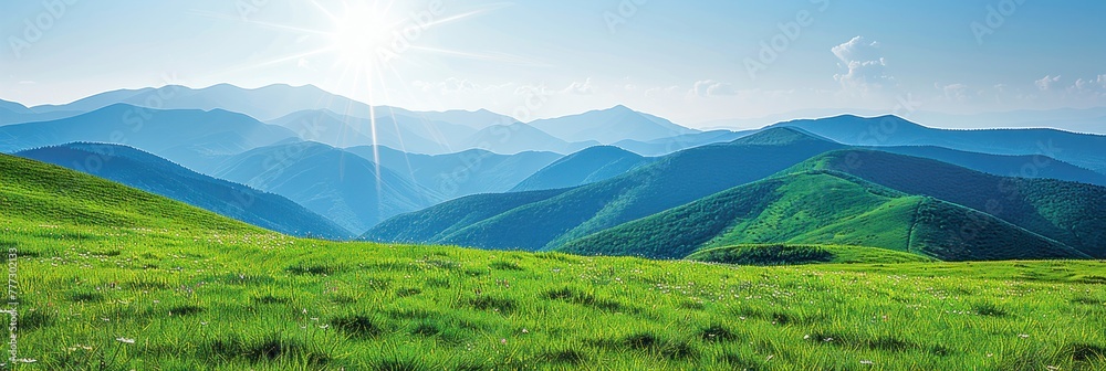 A grassy field with mountains in the background under a clear sky