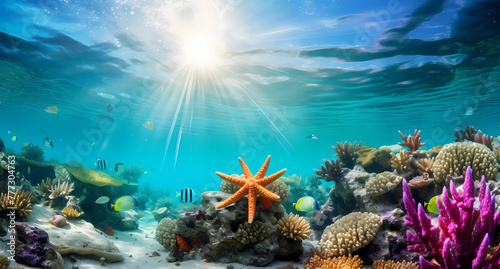 Sunny underwater scene with coral reefs and starfish