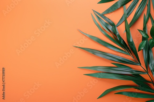 Palm Leaves on yellow solid color. Tropical palm leaf on orange background. Creative nature layout. Flat lay. Summer design concept. Botanical frame, wedding invitation, holiday branding. Copy space