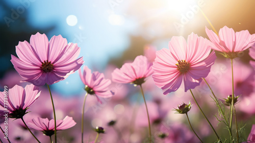 Beautiful flowers with sunlight on background © Tidarat