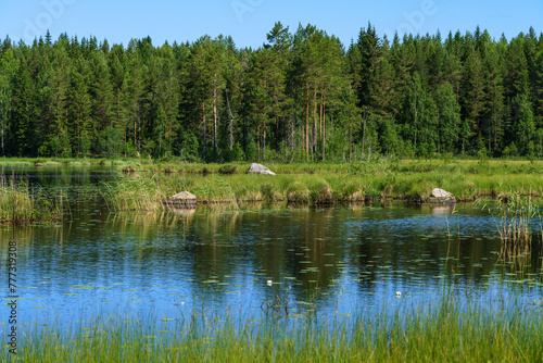 Summer view cross the water of a small lake in Sweden