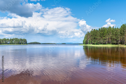 Beautiful summer view across the water in a lake in Sweden
