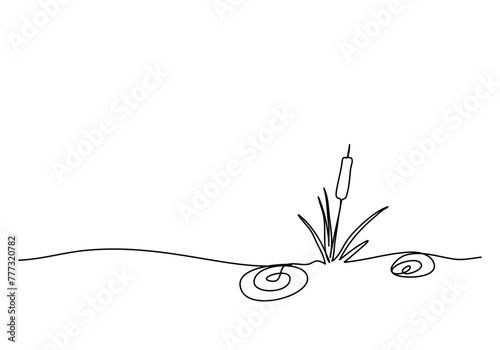 Reed or marsh hornwort, one line drawing vector illustration. © Anastasiya