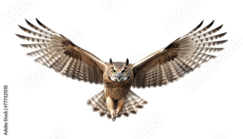 owl in flight isolated on transparent background cutout