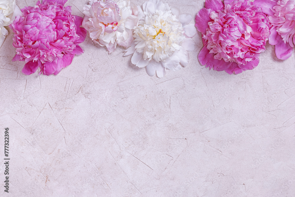 Abstract floral background layout with copy space for text. Peonies on pink surface. Romantic composition, flat lay, top view Abstract floral background layout with copy space for text. Peonies on pink surface. Romantic composition, flat lay, top view