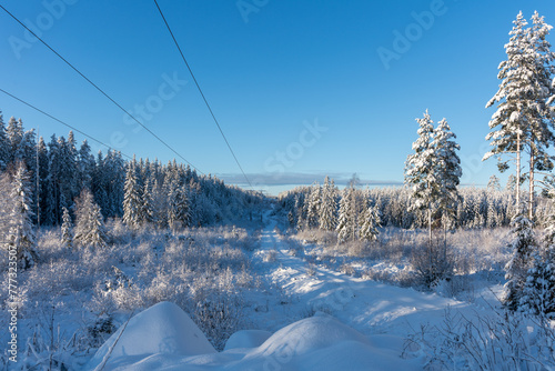 Powerlines and a small countryside road in winter