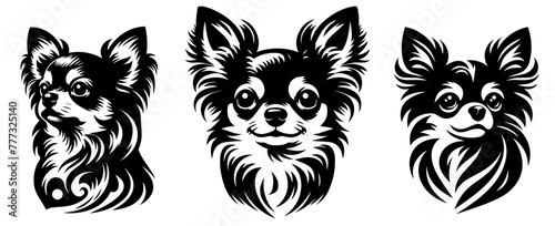 head of a chihuahua dog, black vector, silhouette svg illustration laser cutting engraving transparent monochrome shape