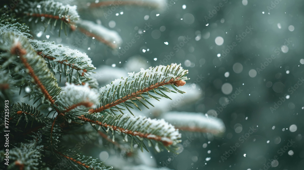 Experience the winter wonderland with snowy fir tree branches. AI generative art!