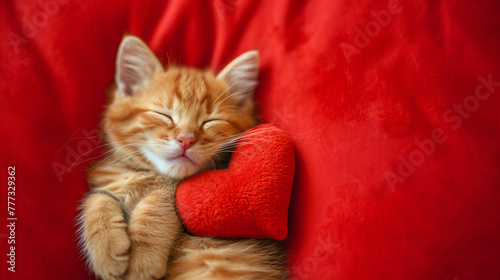 Experience the adorable sight of a sleeping kitten on a heart-shaped pillow, captured from a close-up top view. AI generative.