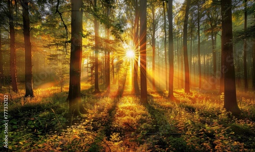 Enchanting forest scenery with sunbeams piercing through the mist and trees