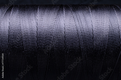 A long, black thread with a shiny surface.