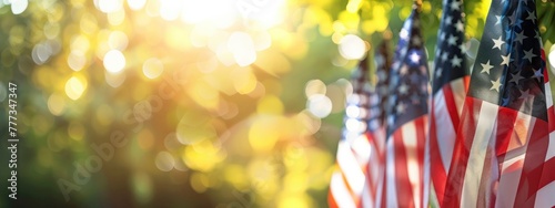 American flags on a blurred background, National holiday concept