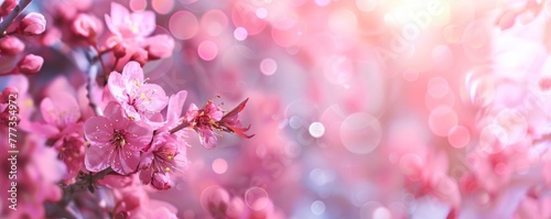 Beautiful pink flowers background with spring blossoms and pastel colors. Easter concept, springtime, wedding or love theme. © MEHDI