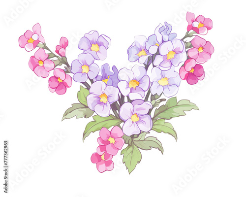 Nemesia flowers remove background , flowers, watercolor, isolated white background