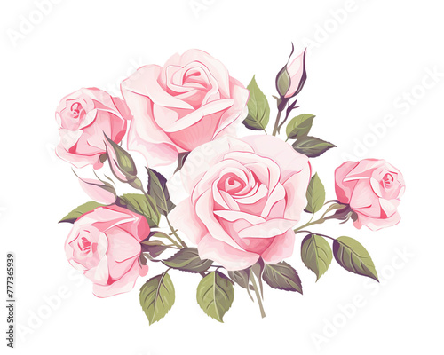 Roses flowers remove background , flowers, watercolor, isolated white background