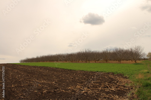 A field with dirt and grass