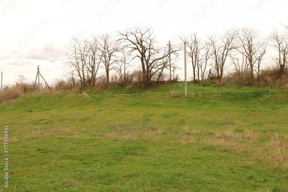 A grassy field with trees in the background