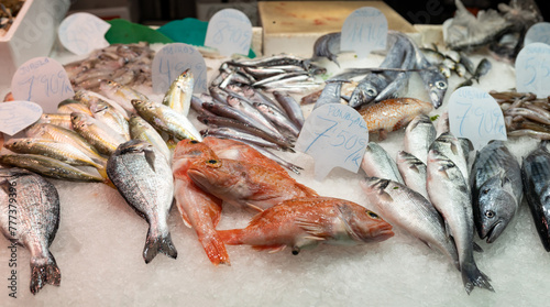 Colorful choice of fish at a market in Spain. Closeup of fish on display in a fish market, food concept