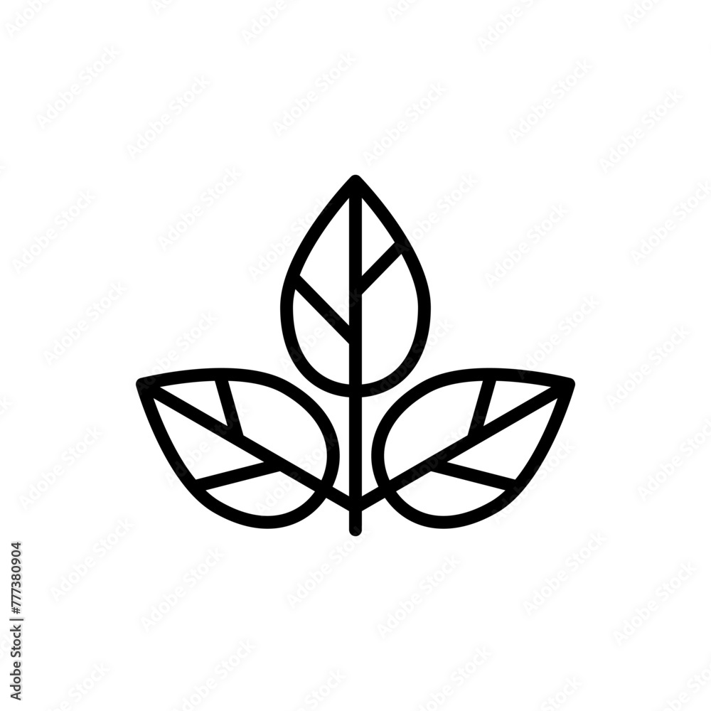 Leaf icon Leaf icon