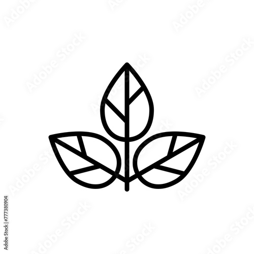 Leaf icon