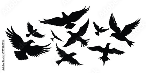 Flying Different Type of Birds silhouette with wings on white background
