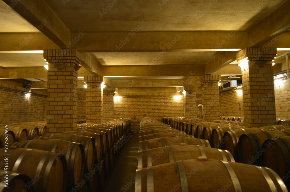 Cave com barricas de vinho