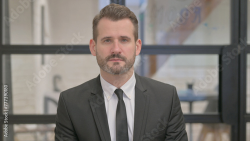 Portrait of Serious Middle Aged Businessman