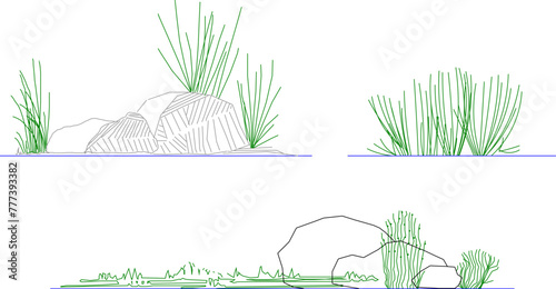 Adobe Illustrator Artwork vector design sketch illustration of ornamental plants for the garden