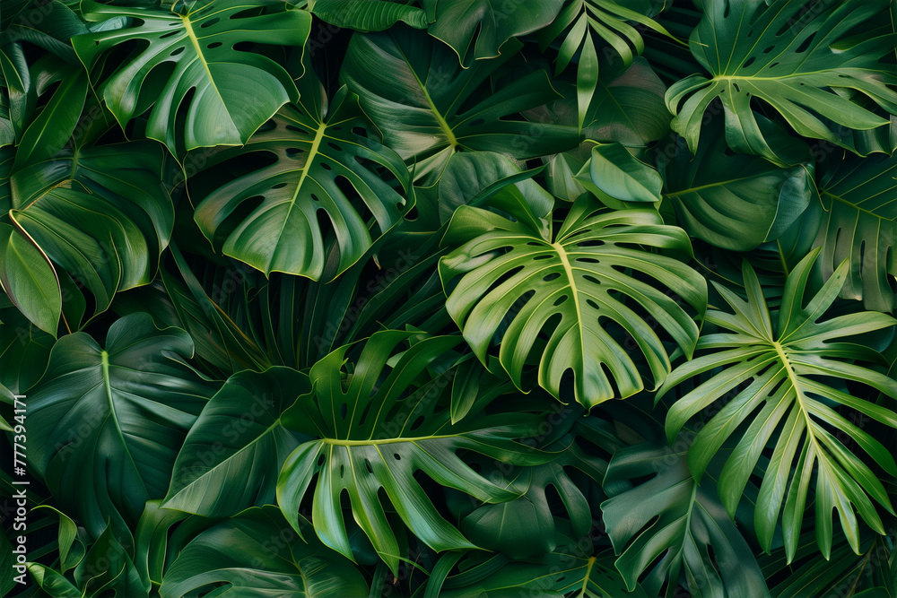 A lush green plant with large leaves and a variety of sizes A lush green plant with large leaves and a variety of sizes