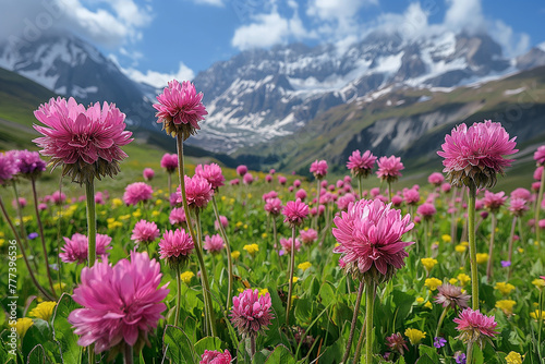 flowers in mountains
