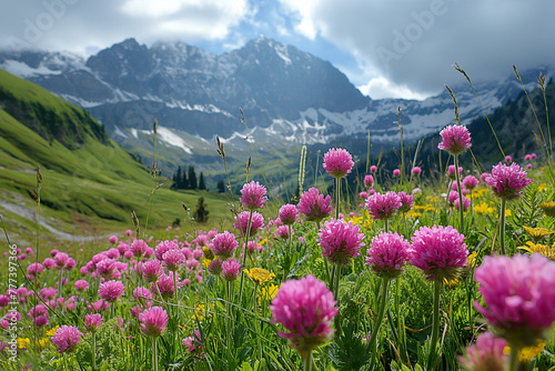 pink flowers in the mountain