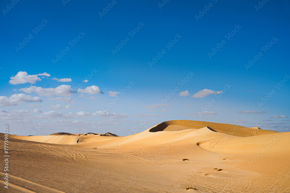 Sunlit Desert 