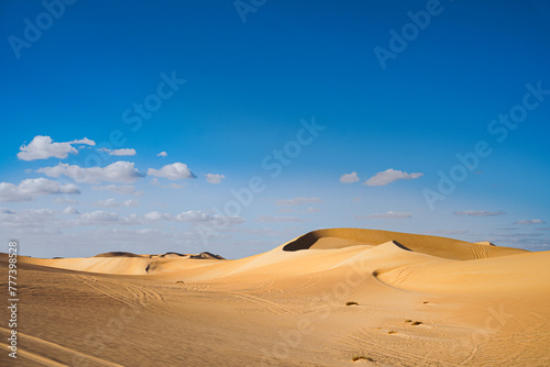 Sunlit Desert 