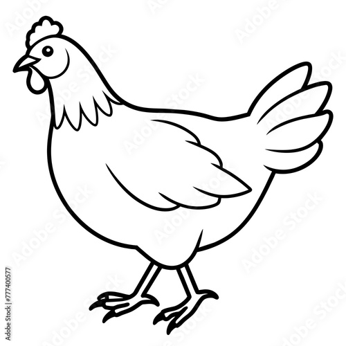 chicken standing - vector illustration