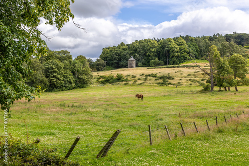 Grazing brown horse on a green grass meadow fringing on woodland forest in front of ancient, old tower, turret made from basalt stones and fence in Scotland, Europe