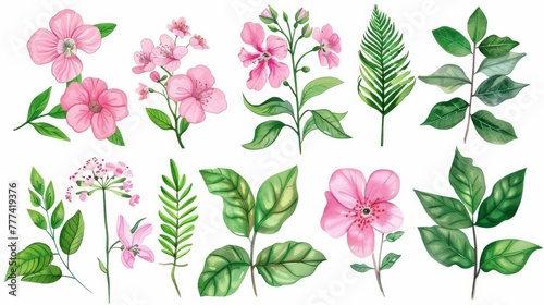 Watercolor cute flowers. Different pink blossom with green leaves. Isolated objects on white background. Botanical illustration.