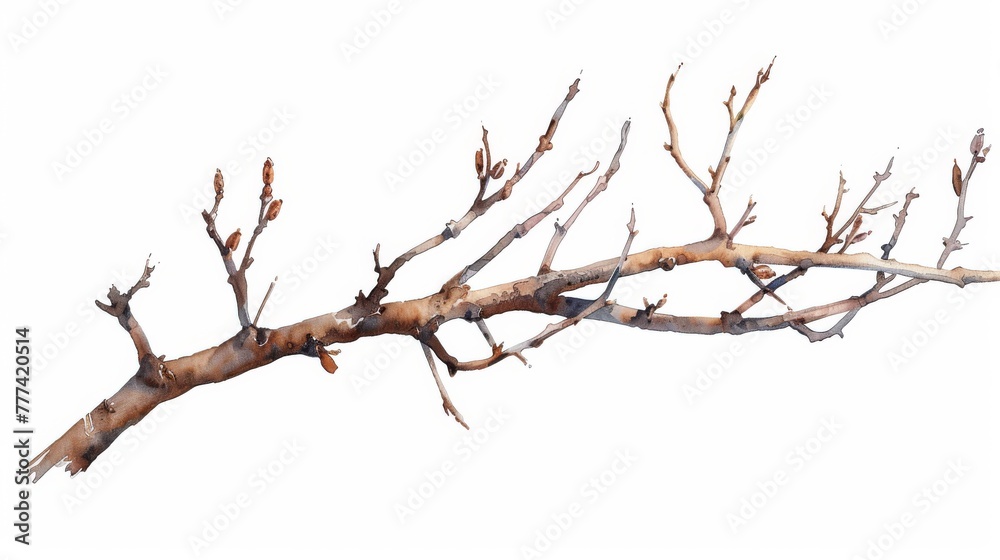 Isolated on a white background, this illustration shows a brown dry straight twig with no leaves. The illustration can be used for rustic print design, eco-friendly packaging, vintage stickers, etc. Isolated on a white background, this illustration shows a brown dry straight twig with no leaves. The illustration can be used for rustic print design, eco-friendly packaging, vintage stickers, etc.