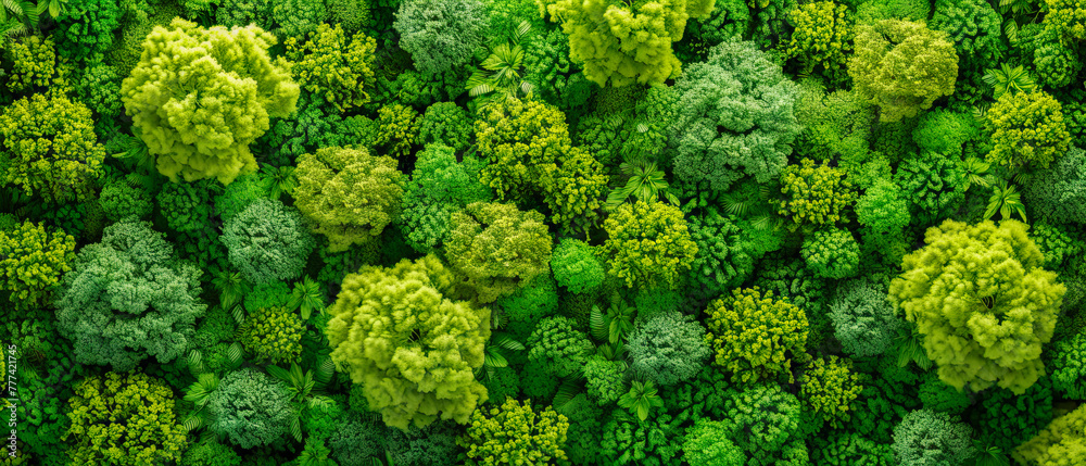 A full-frame image of a green cauliflower and broccoli mix, with a natural and organic concept, on a green background, Generative AI. Generative AI