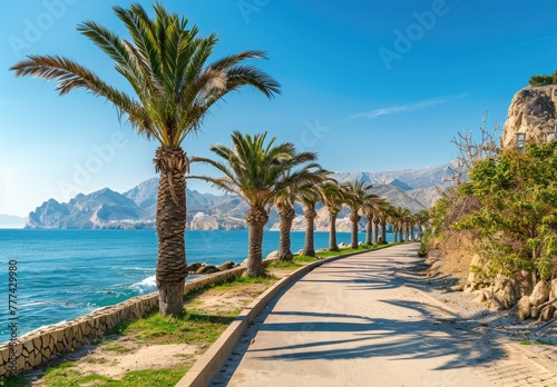 Palm Trees on the seaside with a beautiful view  scenic  created with AI