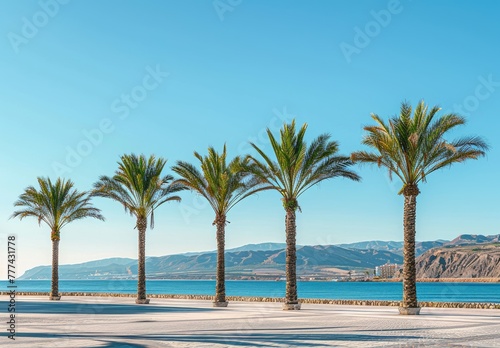 Palm Trees on the seaside with a beautiful view  scenic  created with AI