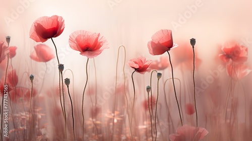 Ethereal artistry delicate poppies in soft red tones with double exposure lighting