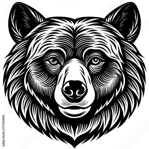 head of a wolf Silhouette Graphics Vector Illustration, head of a tiger Line Art,tiger Svg t shirts Design, Laser Cut File Cricut, Paper Cut and Printing, tiger  face Svg,lion For Kids Bundle