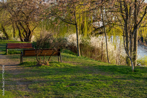 bench in park, Baneasa Lake, Bucharest City, Romania photo