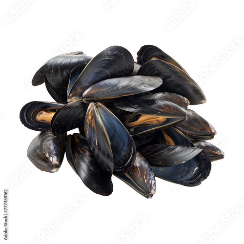 A bunch of black and brown mussels are piled on top of each other