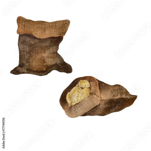 Burlap sack potato brown set watercolor sketch