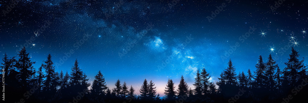Naklejka premium A clear night sky with stars and the silhouette of trees,beautiful night forest, A dark blue sky with stars above the silhouette of trees at night ,banner