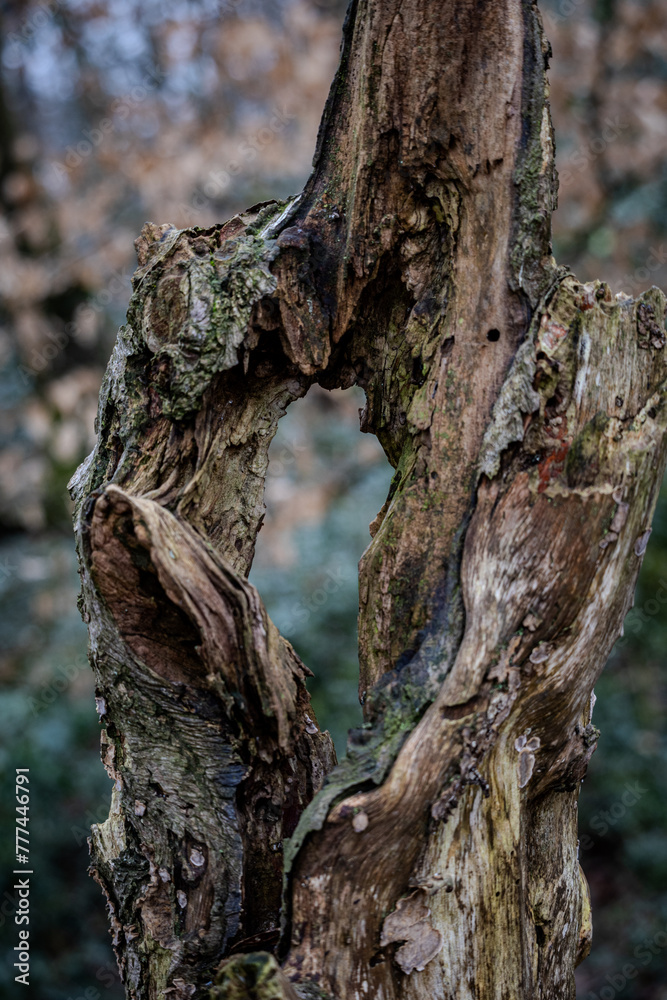Fototapeta premium As if through a keyhole