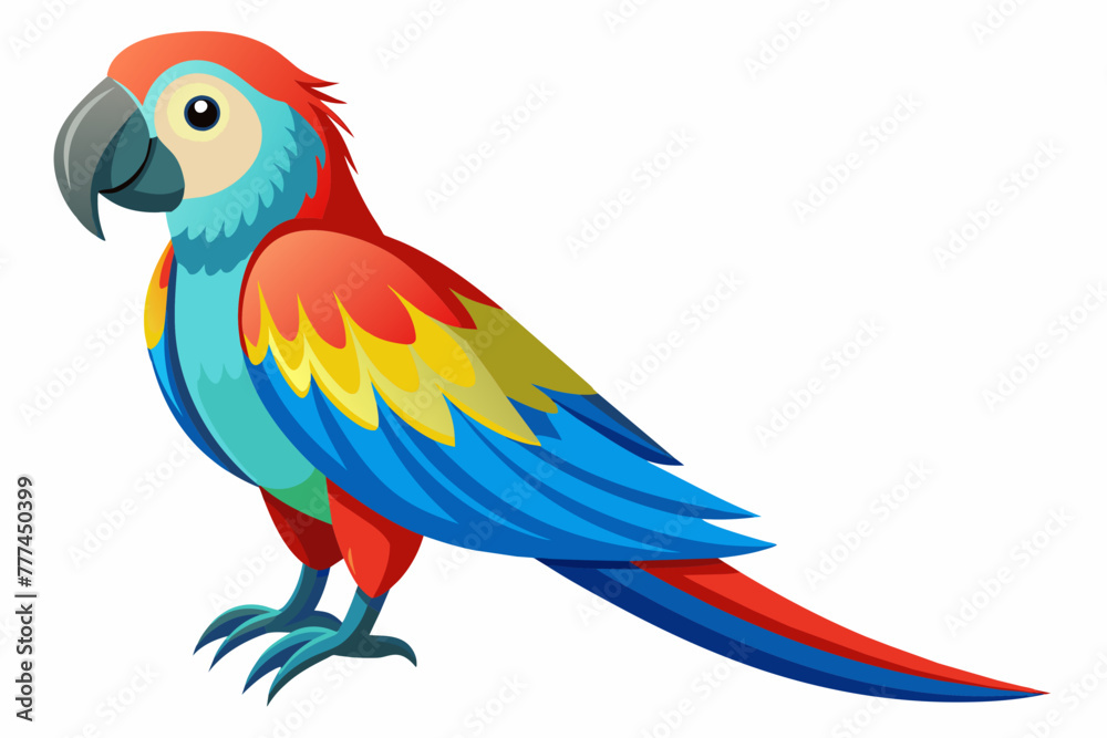 Parrot vector with white background.